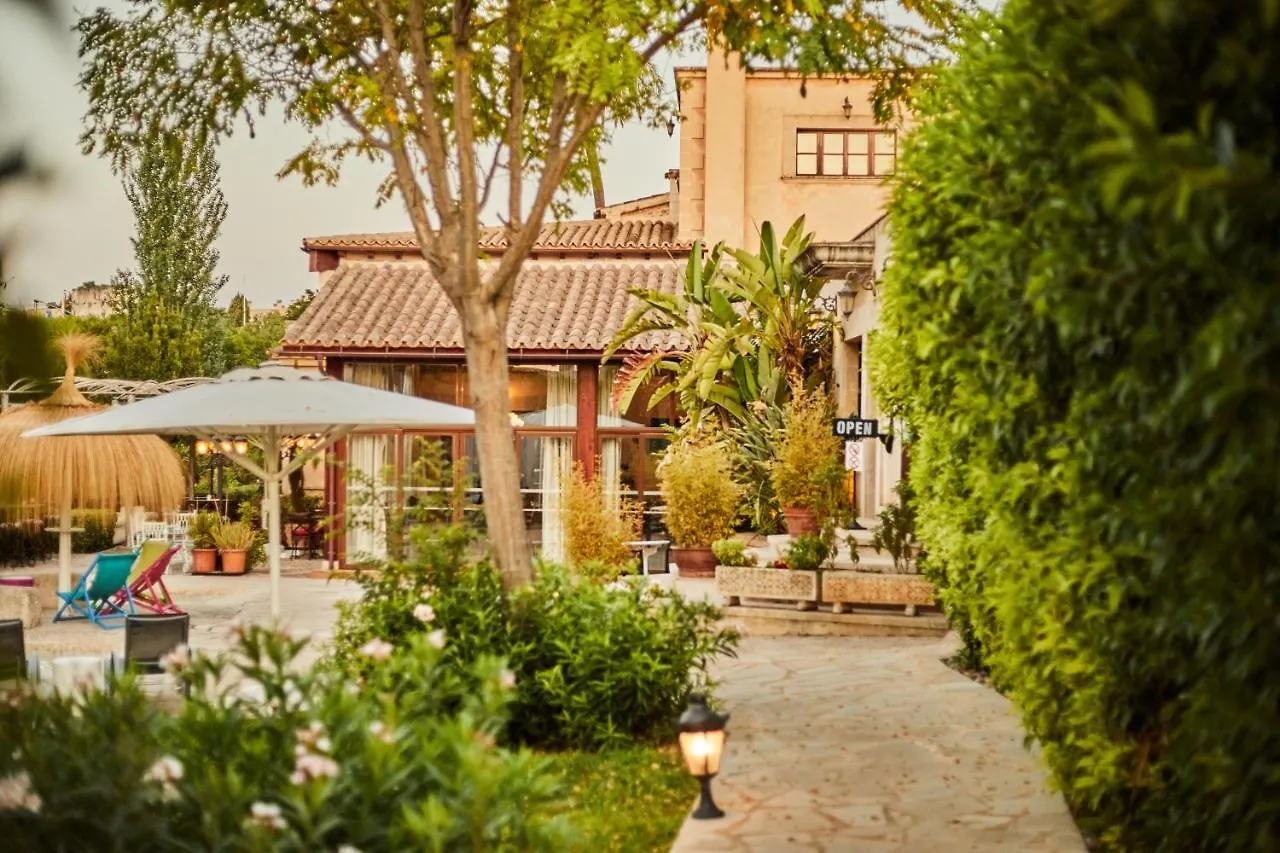 Agroturismo Sa Vinya Des Convent Farm stay Inca (Mallorca)